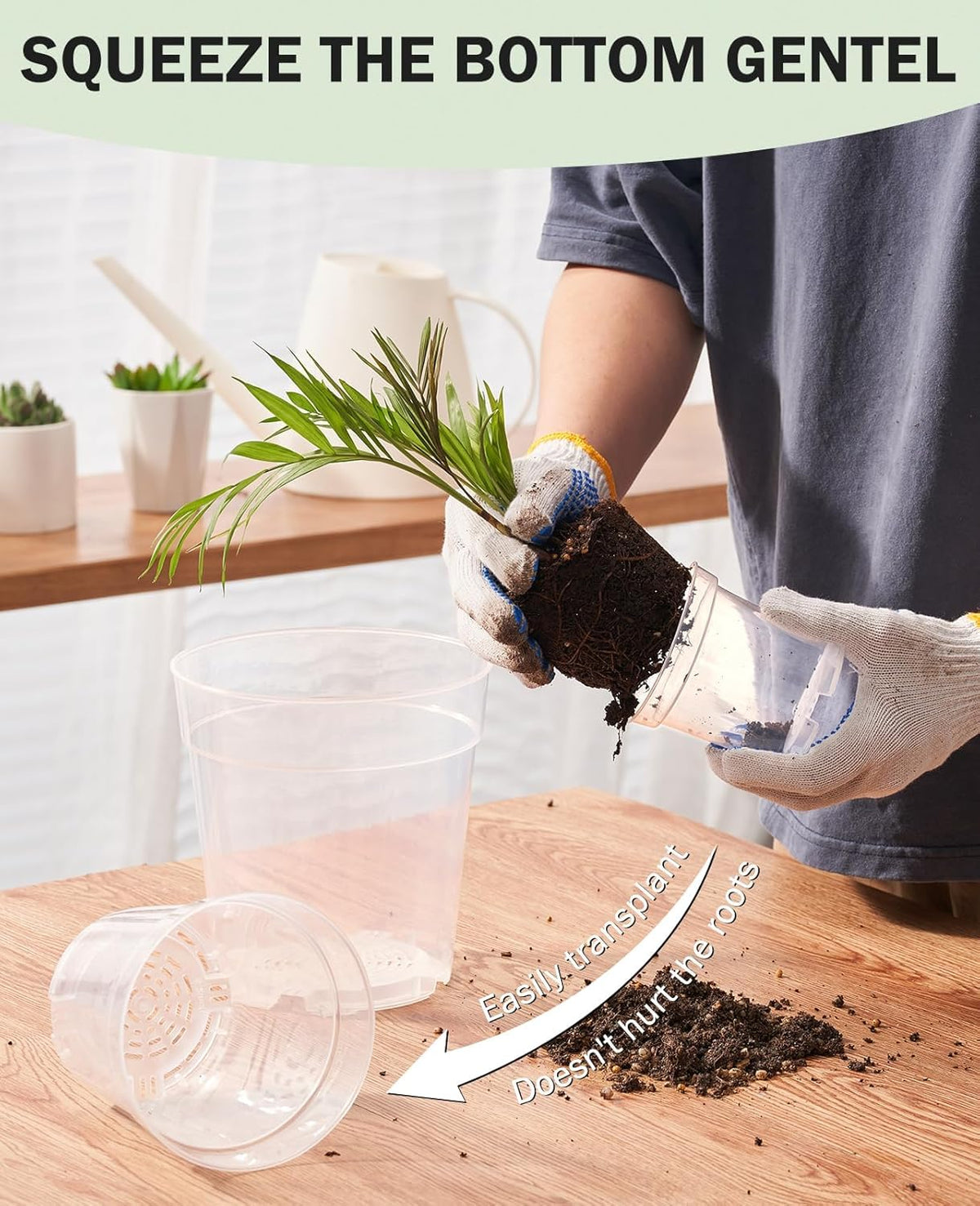 homenote transparent root monitoring highlights root visibility