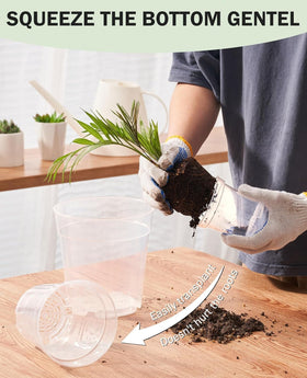 homenote transparent root monitoring highlights root visibility
