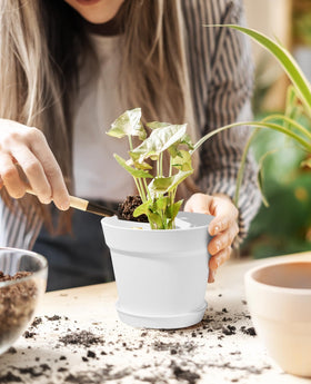 Homenote cream white trays accompany eight planters for organized indoor gardening.