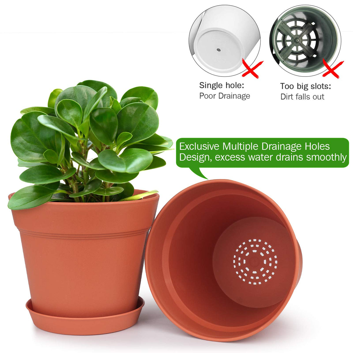 Homenote tray included to catch drainage and protect surfaces.