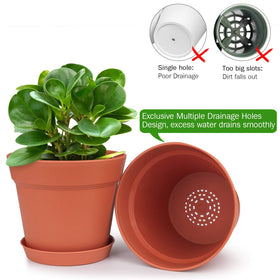 Homenote tray included to catch drainage and protect surfaces.