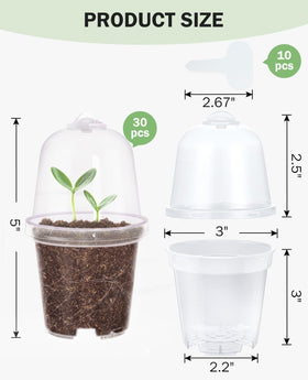 Homenote white plant tags included for labeling each pot