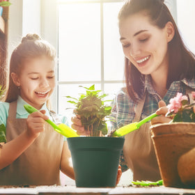 Windowsill-ready homenote pots for neat indoor greenery