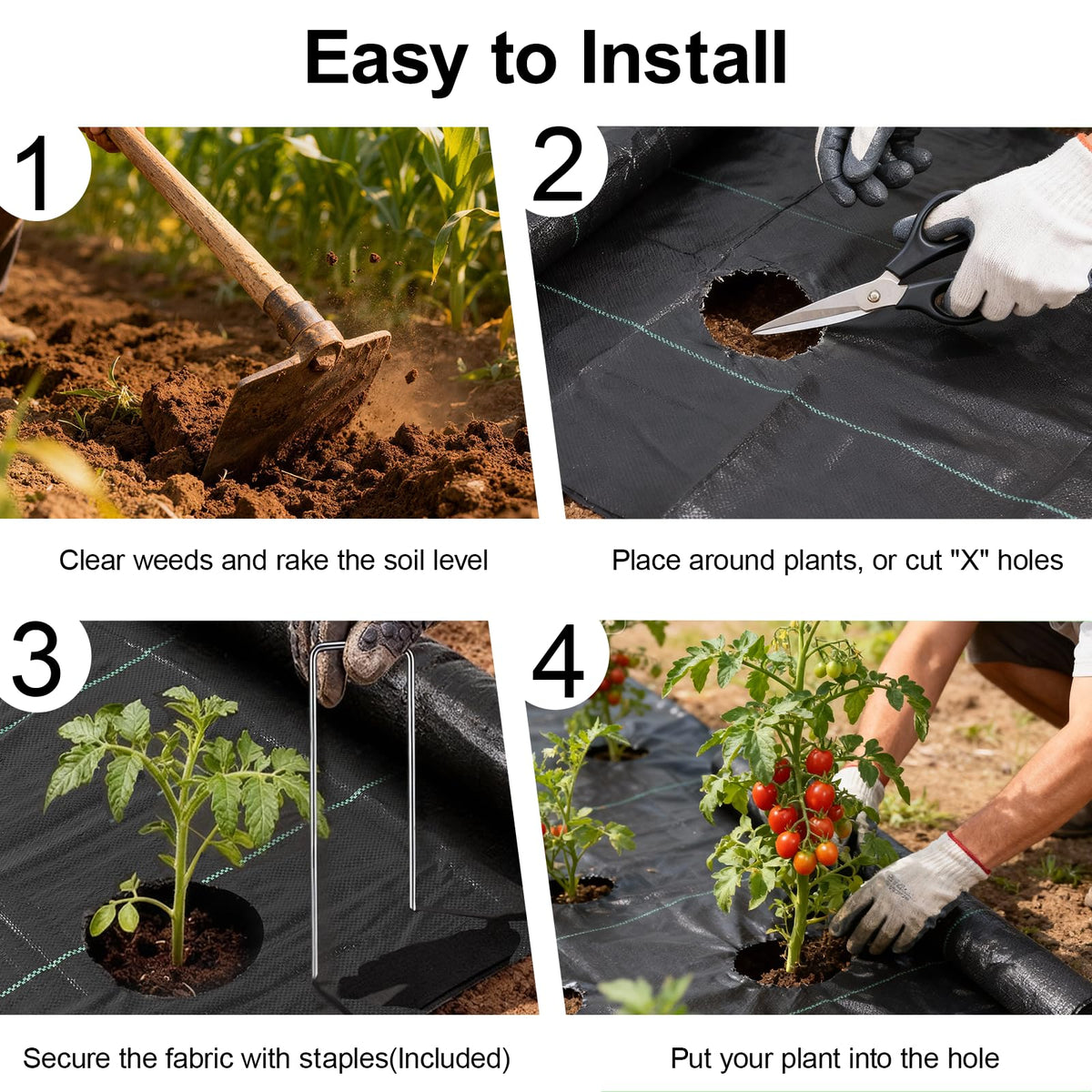 Homewarm barrier used in a greenhouse to keep paths clean