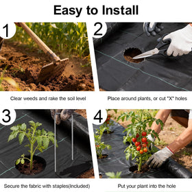 Homewarm barrier used in a greenhouse to keep paths clean