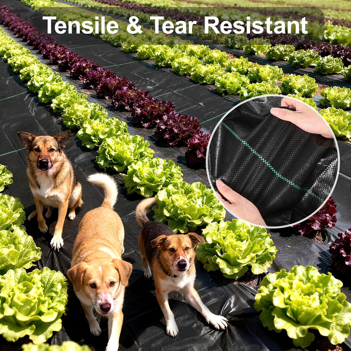 Homewarm barrier used as ground cover to stabilize mulch