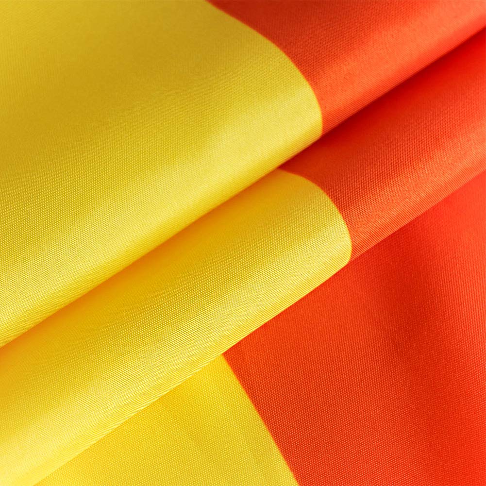 Homissor pride flag brightens rooms and gardens with inclusive design.