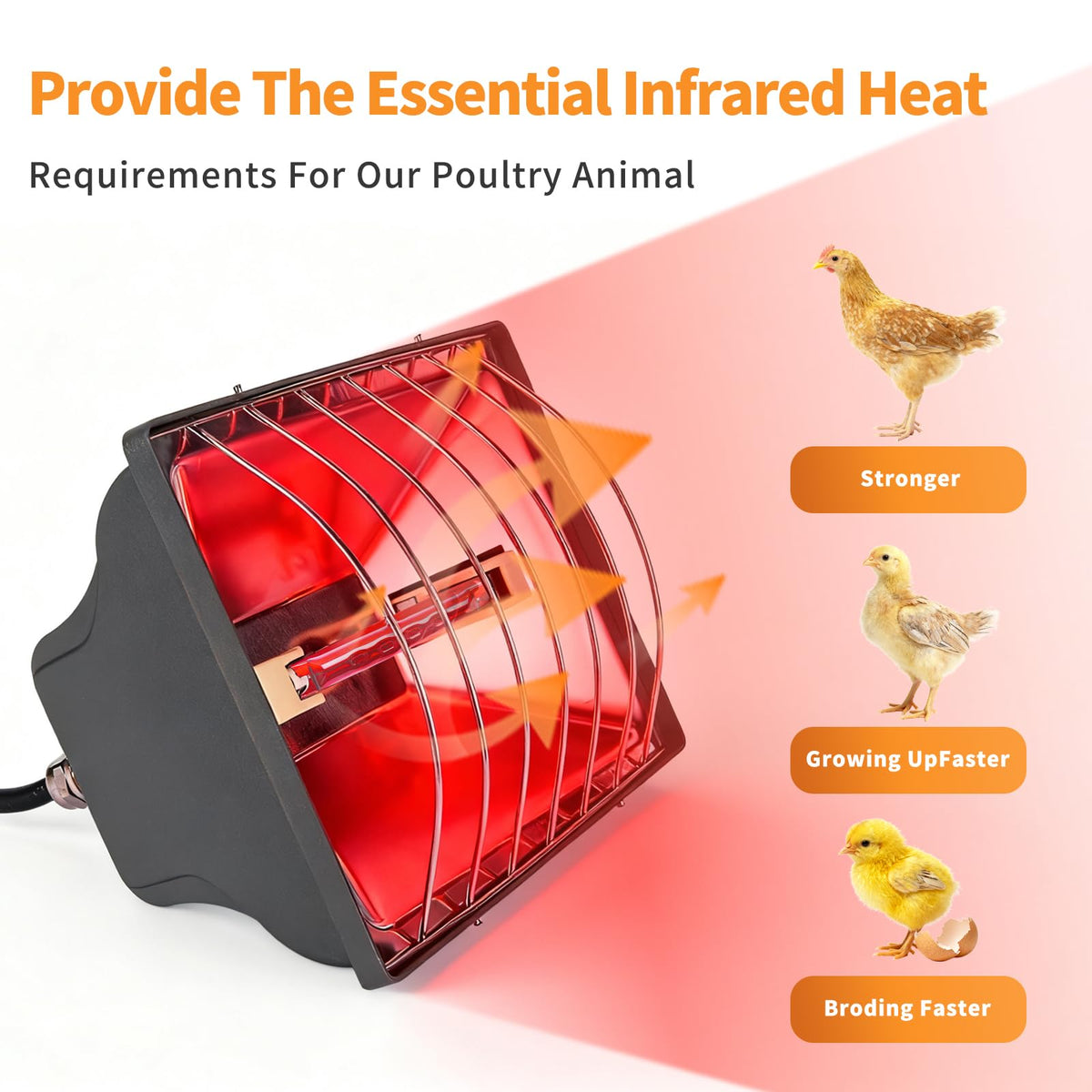 Homnebila all-metal safety design protects birds and equipment in harsh environments.