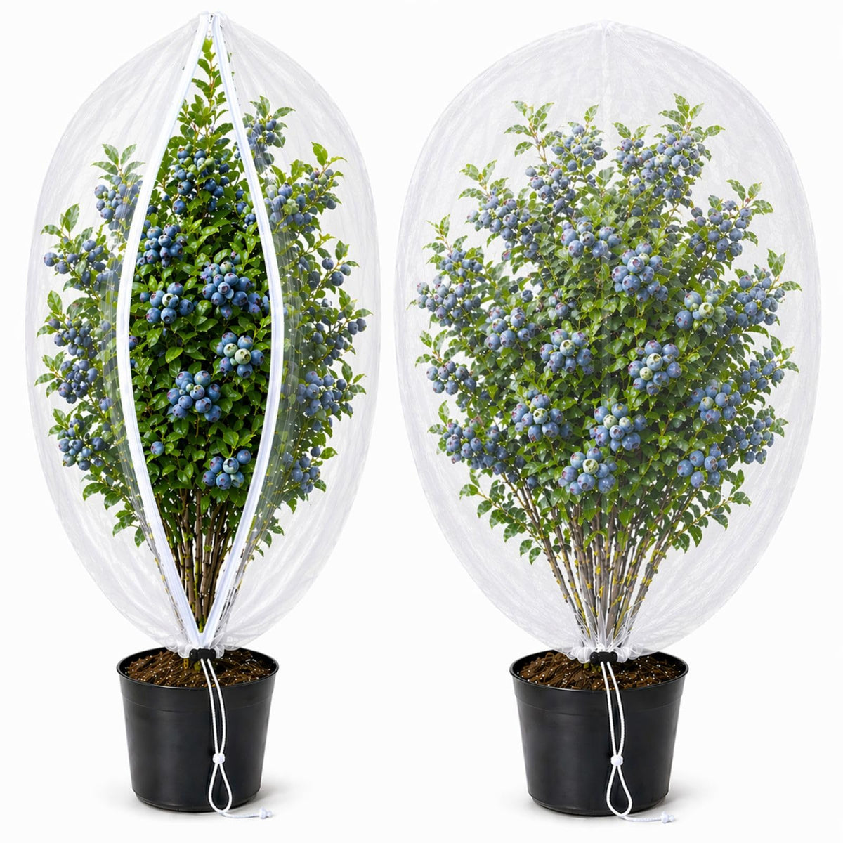 Homoda fruit tree netting cover with zipper and drawstring protects 4ft x 4ft trees from birds