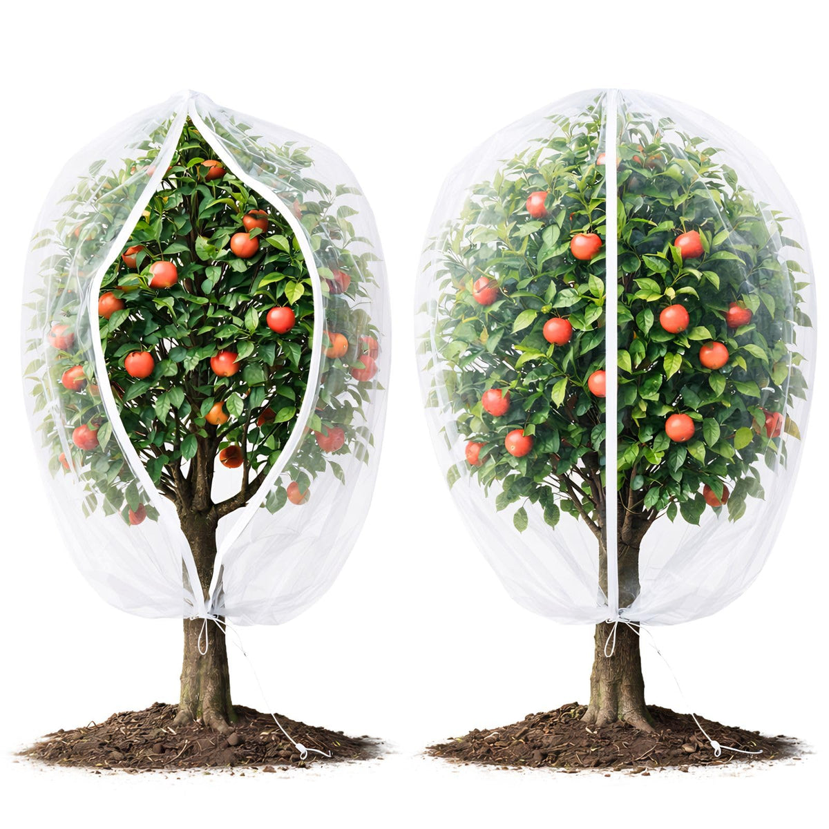 Homoda fruit tree netting cover with zipper and drawstring protecting trees while allowing sunlight.
