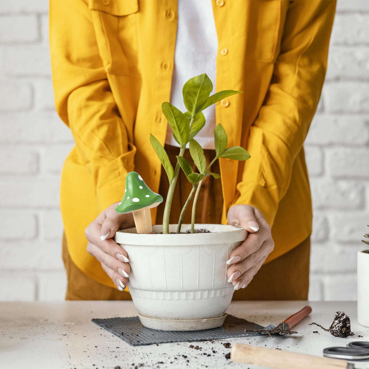 HOMYHEE plant care in indoor and outdoor settings with spikes