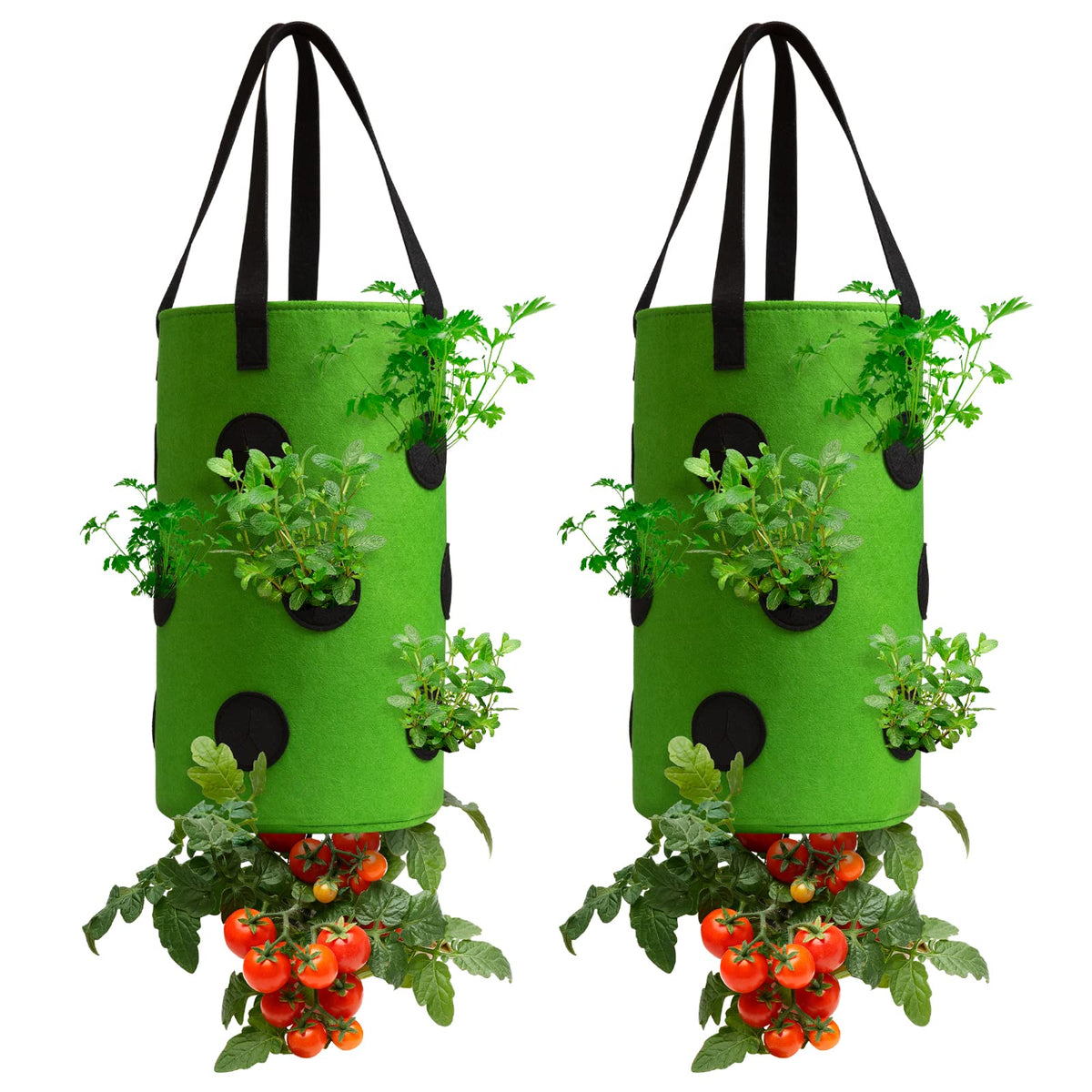 Homyhoo 2 pack upside-down tomato planter green with efficient watering for robust tomatoes