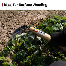 HONEN hand tool fits between plants for precise weeding