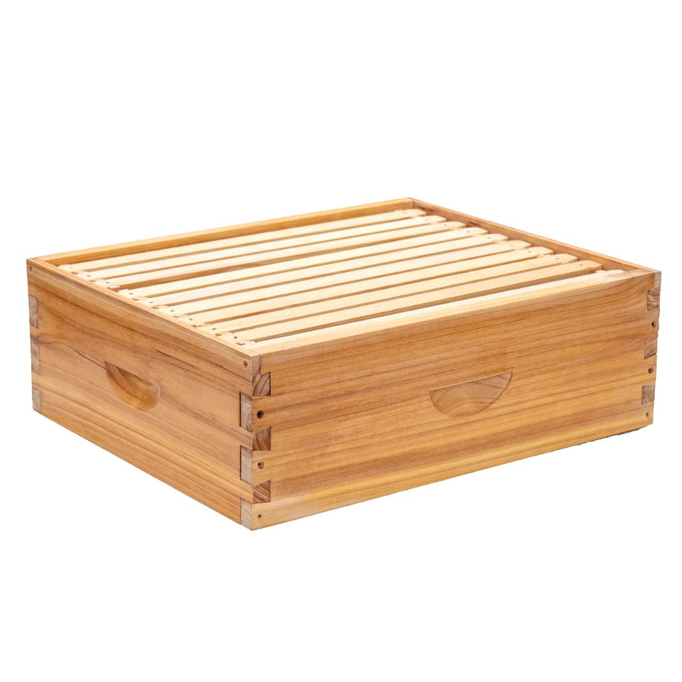 Honey Lake 10-frame hive front view shows durable cedar construction for long-lasting use