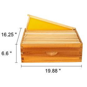 Honey Lake hive side view highlights sturdy design and clear assembly steps