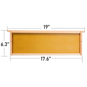 Honey Lake cedar beehive box with frames ready for a beginner setup