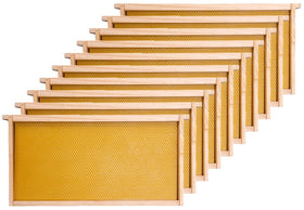 Honey Lake deep beehive frames in a 10-pack for durable brood space