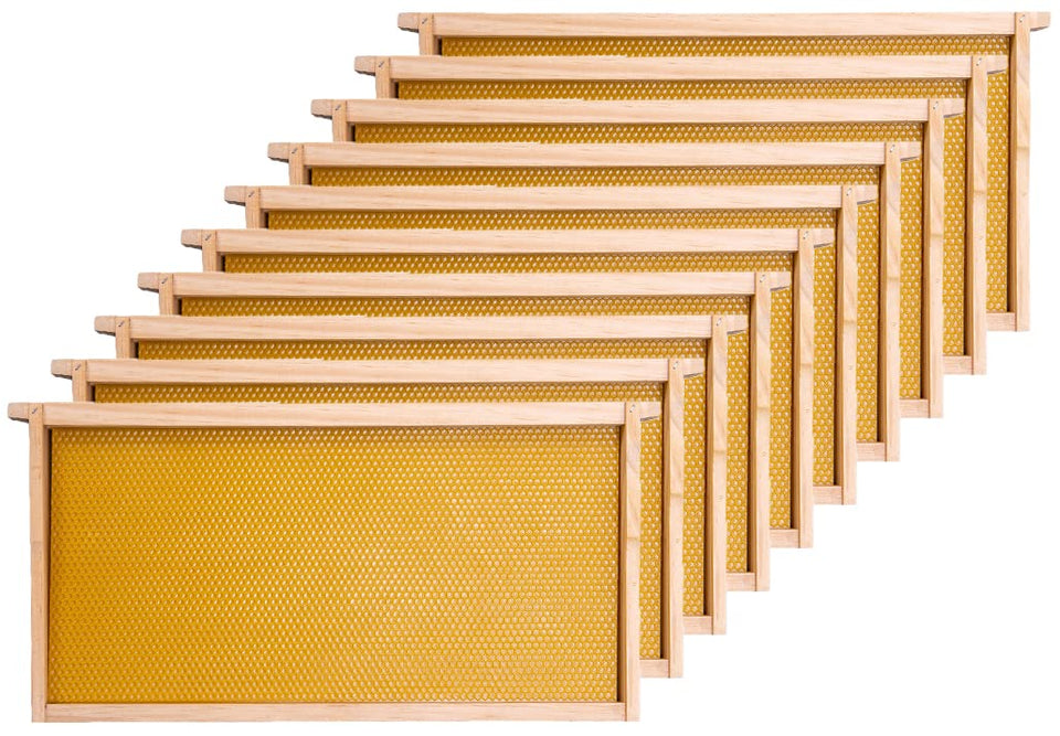 Honey Lake deep beehive frames in a 10-pack for durable brood space