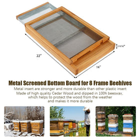 Honey Lake Langstroth bottom board with entrance reducer for controlled hive access.