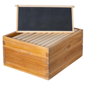Honey Lake 10-frame deep brood box with a beeswax-dipped cedar exterior for durability