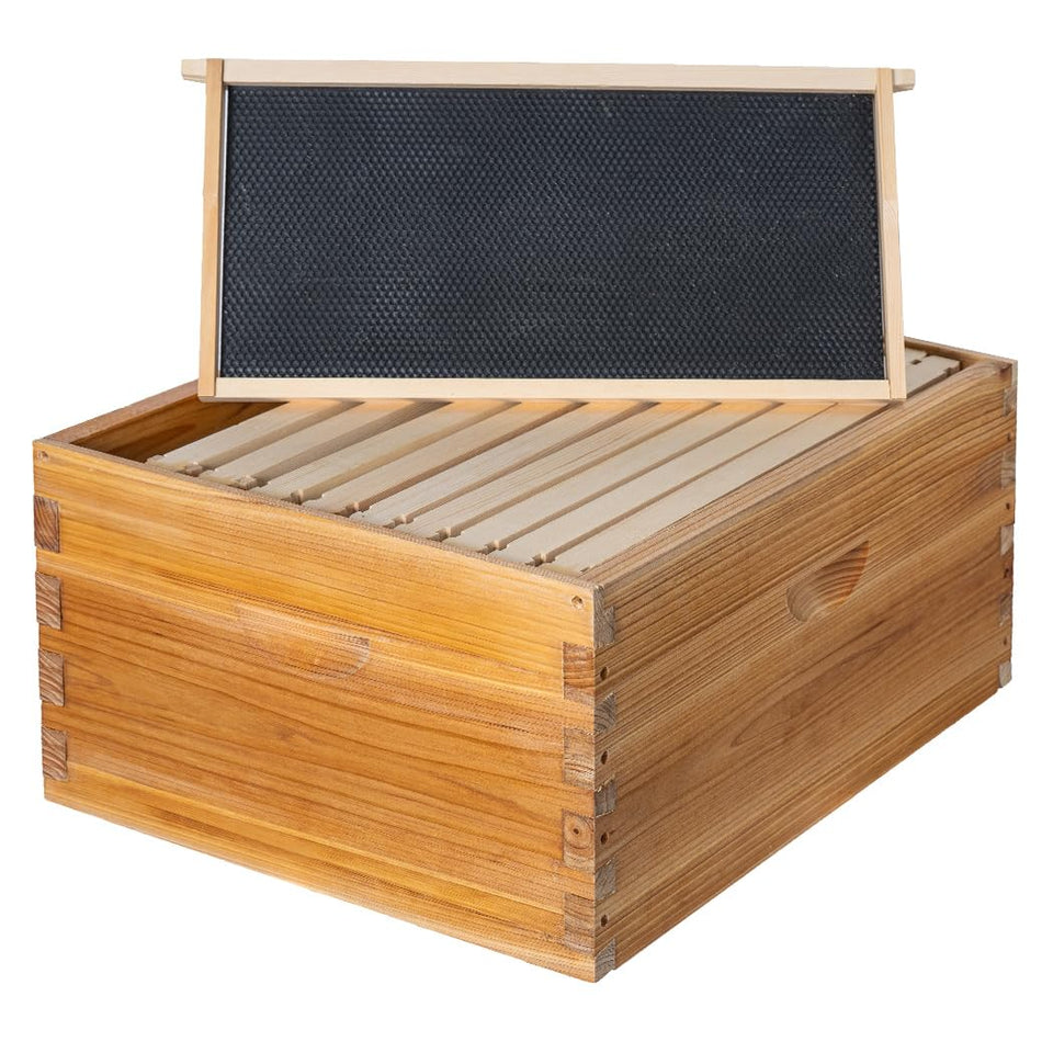 Honey Lake 10-frame deep brood box with a beeswax-dipped cedar exterior for durability