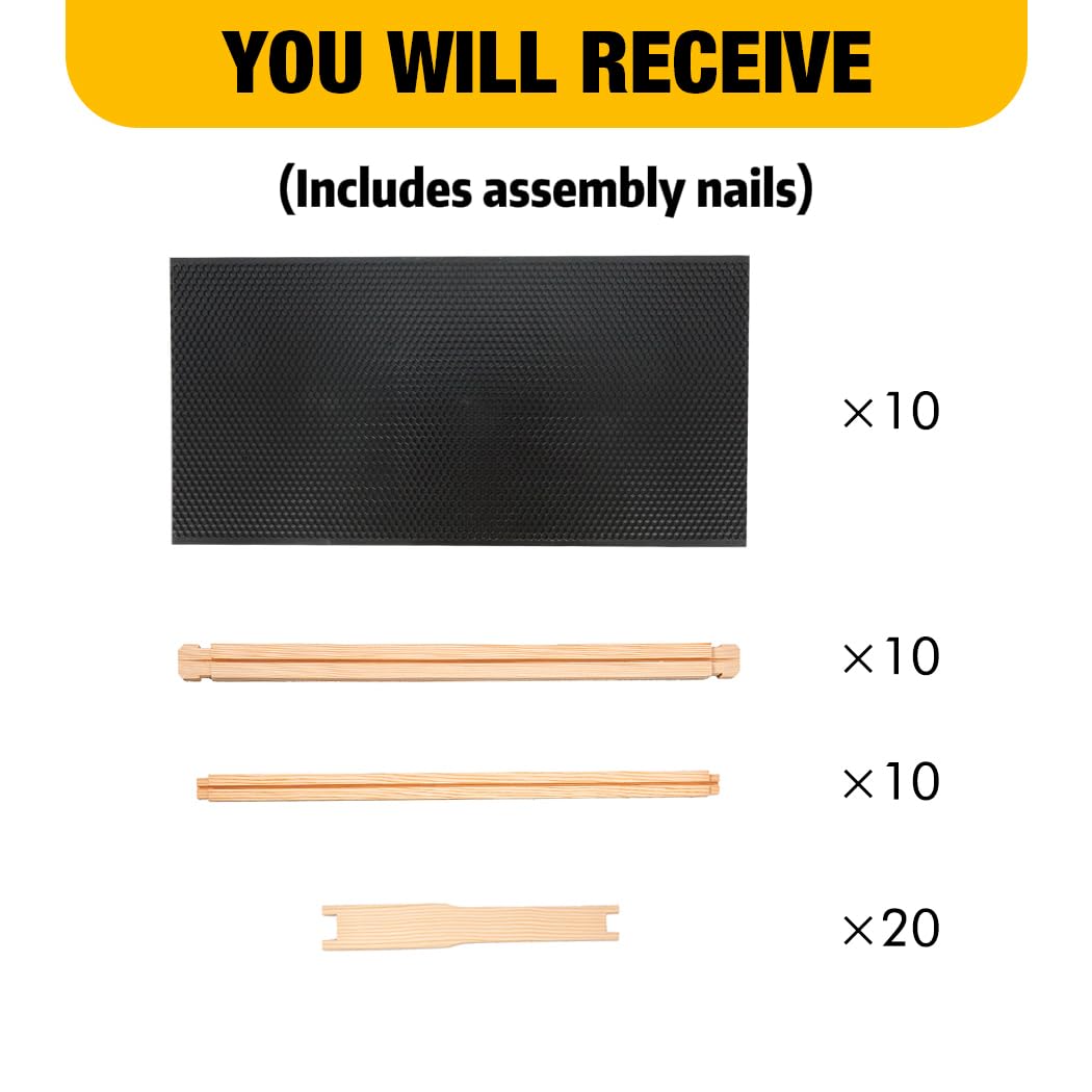 Honey Lake beeswax-coated foundation detail supports natural comb growth