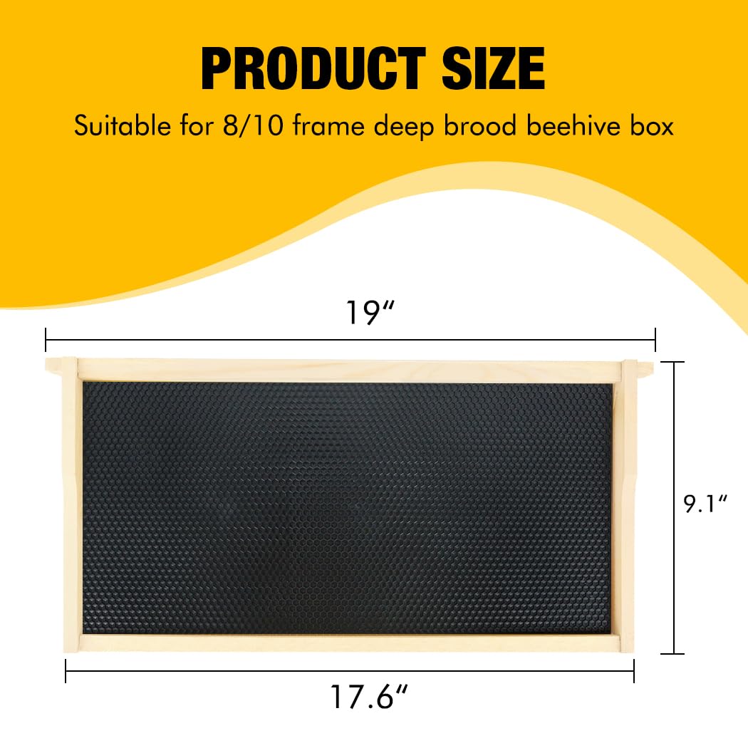 Honey Lake deep frame with beeswax foundation promotes quick acceptance by bees