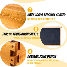 Honey Lake frames and waxed foundations included for immediate hive setup