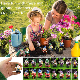 HONEYSHOW mini gnomes with happy expressions brighten shelves and desks