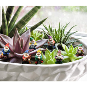 HONEYSHOW polyresin gnomes are waterproof and rust-proof for lasting decor