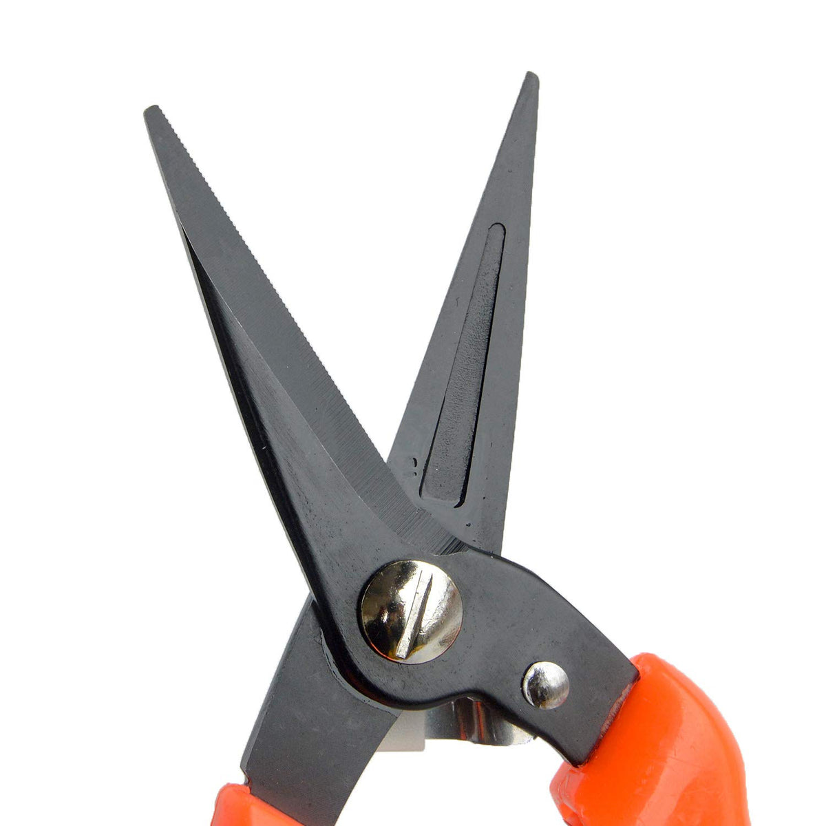 Hongmei Outdoors 8-inch hoof trimmer offering balanced leverage