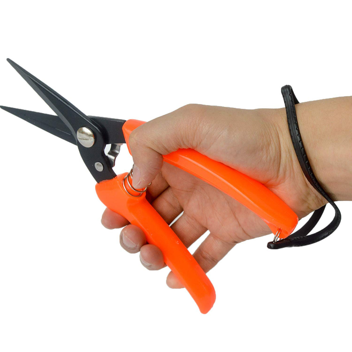 Hongmei Outdoors pack of two hoof trimmers with spare spring