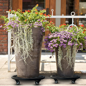 Hongsane versatile mover for plants and other large items