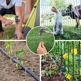 HongWay irrigation tube secured by a landscape staple for tidy water lines.
