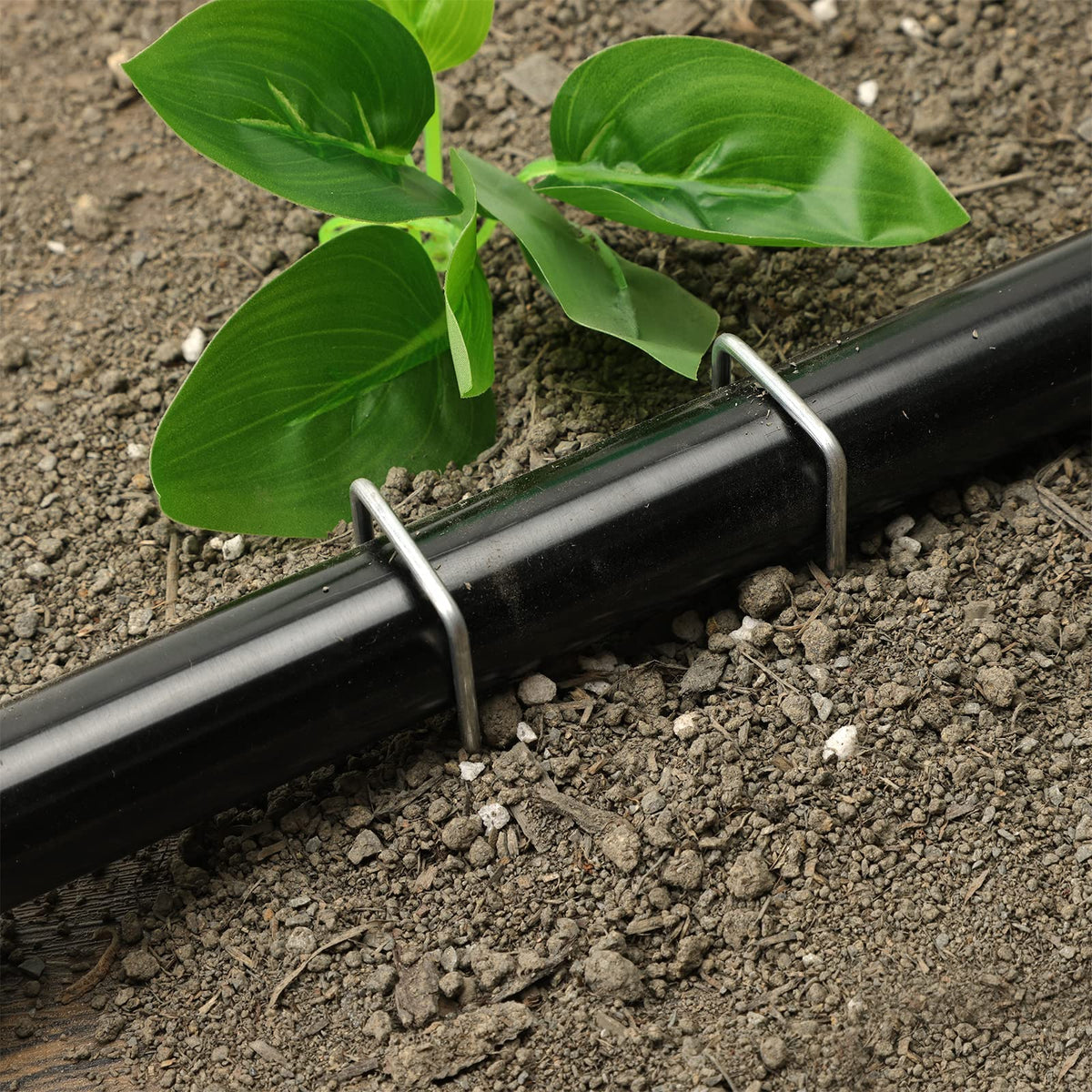 HongWay rust-proof galvanized stakes withstand outdoor use for years