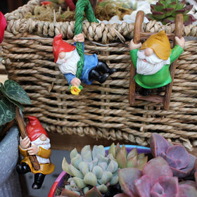 Honiweer weather-resistant gnomes endure outdoor conditions with lasting color.
