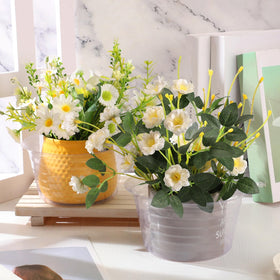 Hoolerry clear deep drip tray under pot blends with any decor.