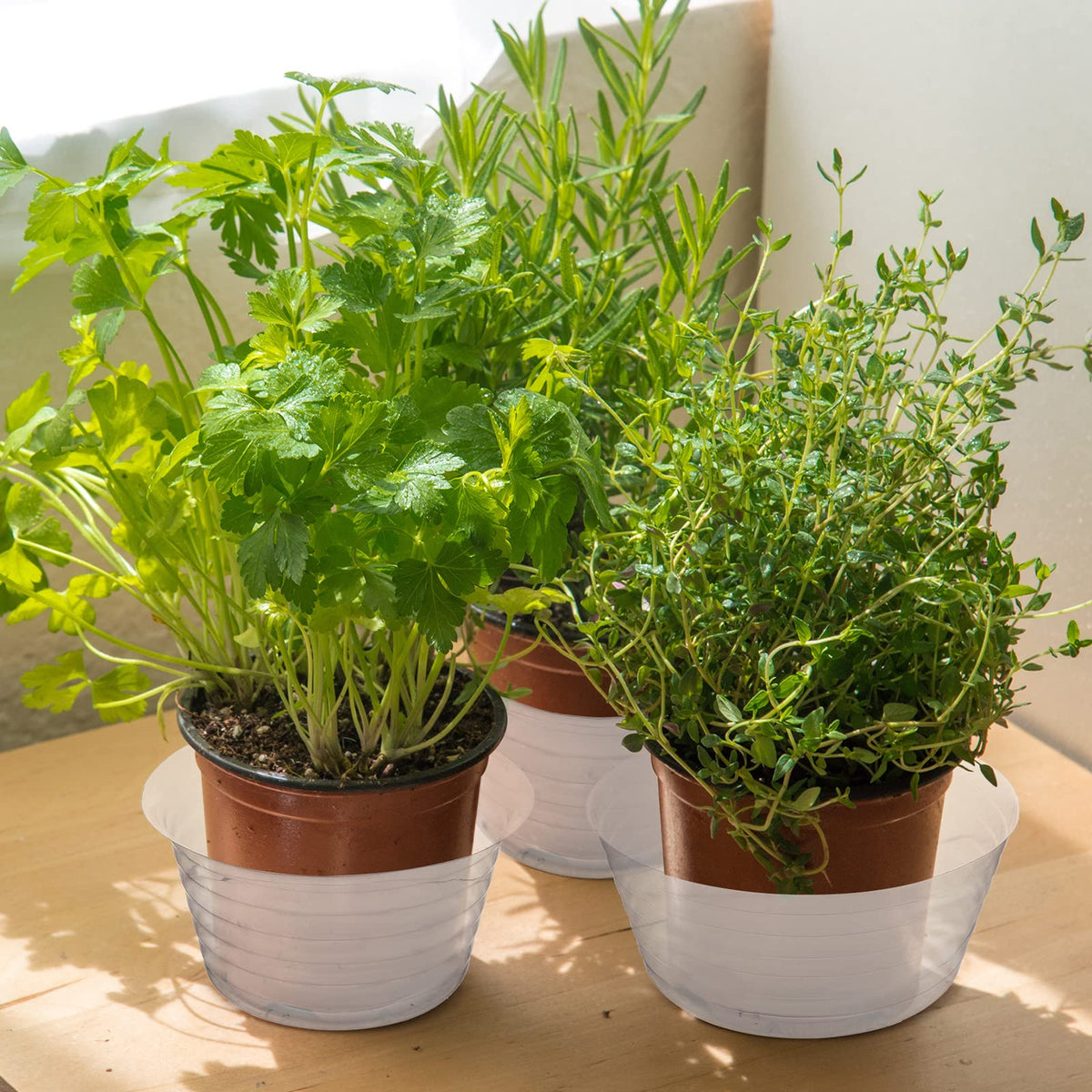 Hoolerry clear deep drip tray set shown together for indoor and outdoor setups.
