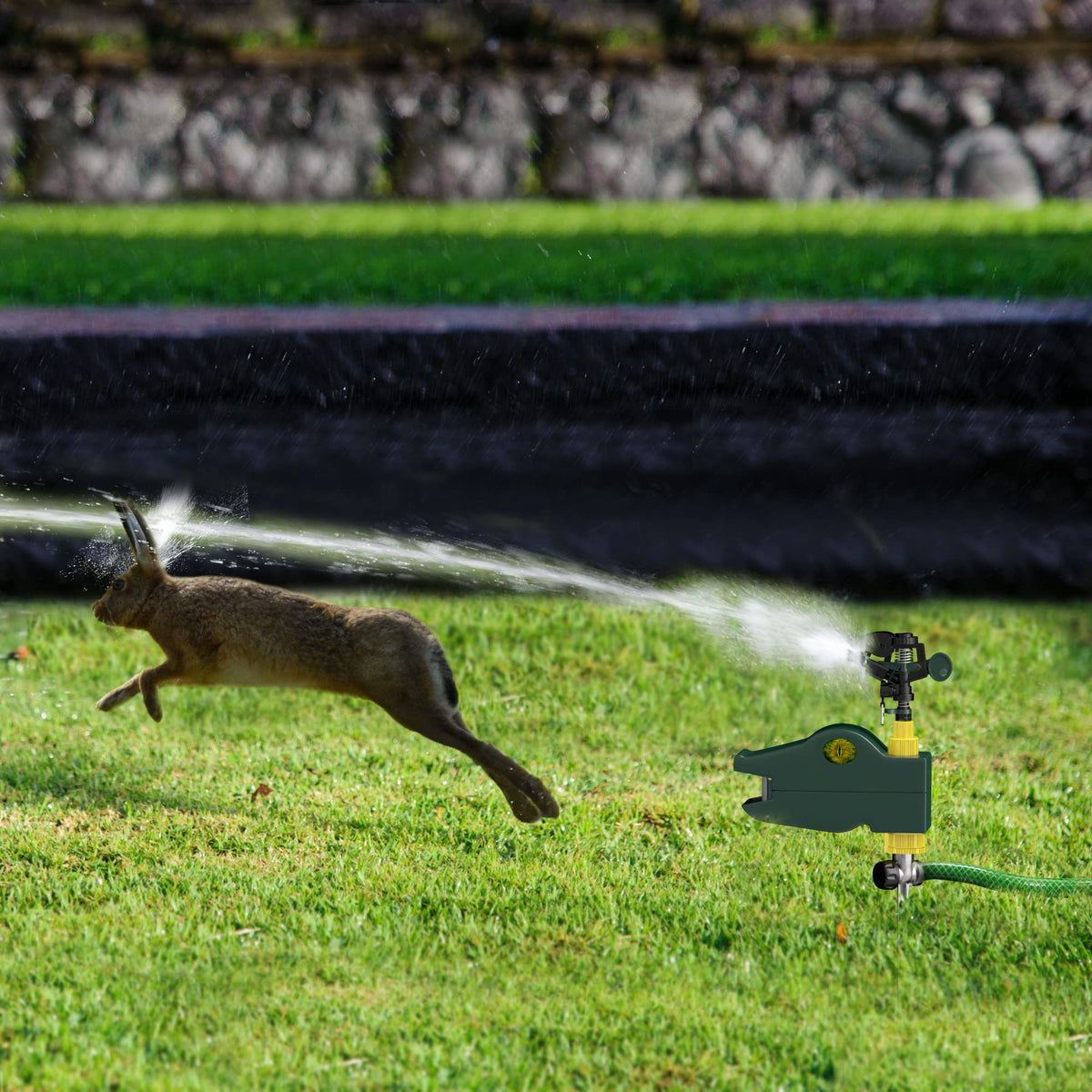 Hoont cat repellent sprinkler keeps cats away from flower beds safely
