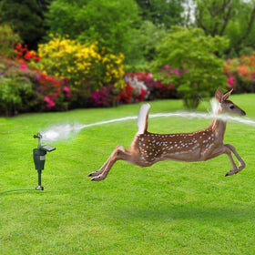 Hoont Cobra Batteries Included power the humane garden defense system.