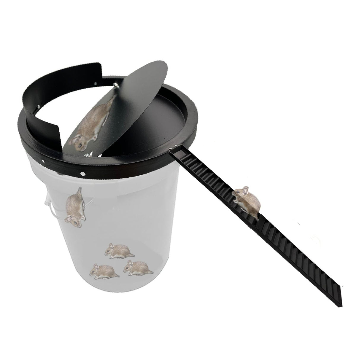 Hoqiowl bucket lid mouse trap metal, secure flip lid for humane capture.