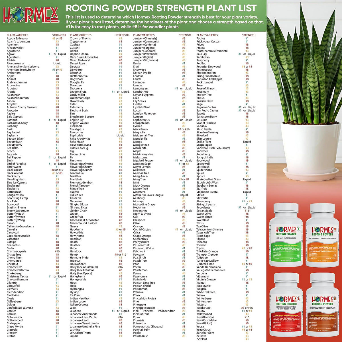 Controlled propagation environment using Hormex for healthy clones.