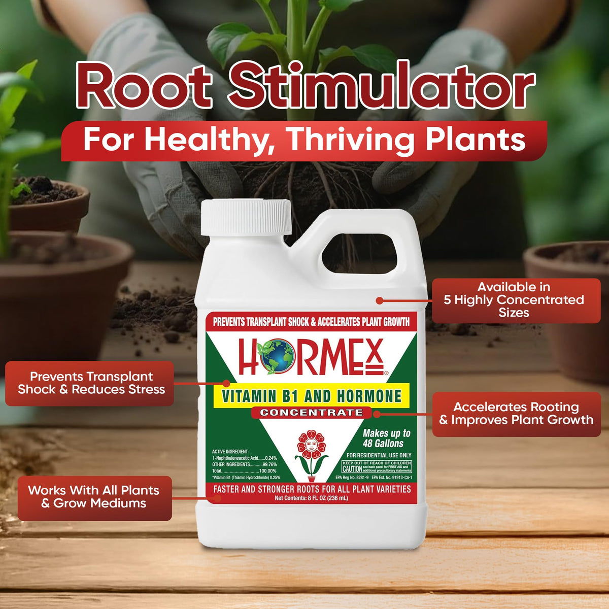 Hormex rooting hormone dropper for precise application to promote root formation.