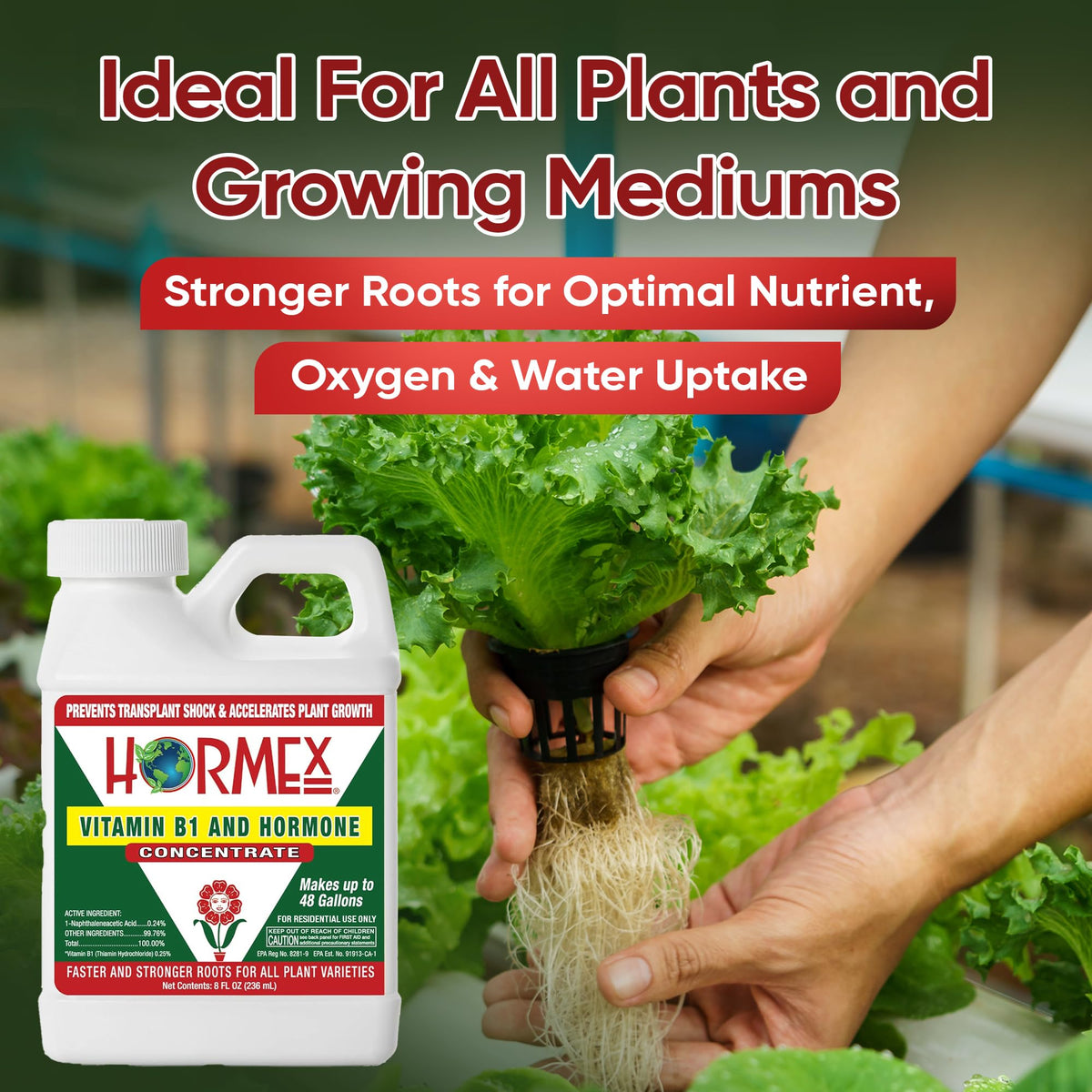 Garden vegetables and ornamentals benefit from Hormex root stimulant.