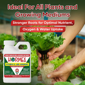 Garden vegetables and ornamentals benefit from Hormex root stimulant.
