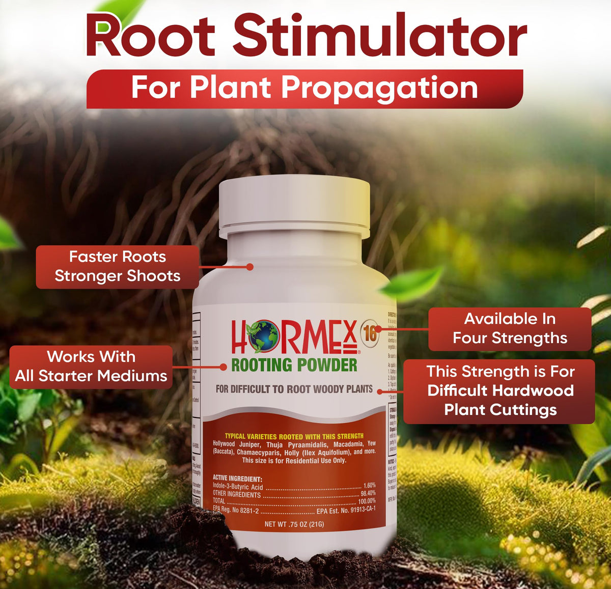 Cuttings prep scene with Hormex Rooting Powder for accelerated rooting.