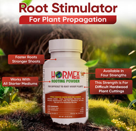 Cuttings prep scene with Hormex Rooting Powder for accelerated rooting.