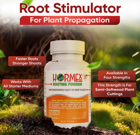 Hormex Rooting Powder #3 applied to a stem boosts rooting potential.
