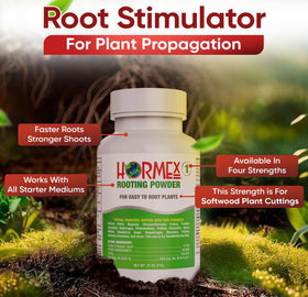 Close-up of Hormex Rooting Powder container showing premium formula.