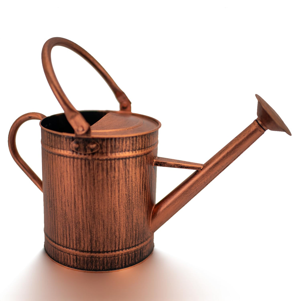 HORTICAN 1-gallon copper watering can with ergonomic handle for comfortable watering.